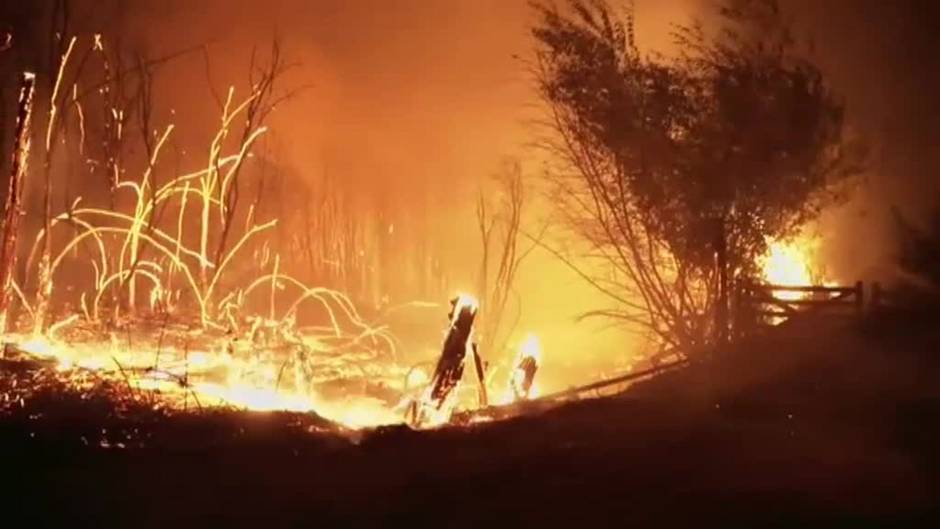 Preocupan en Argentina incendios que asolan zonas de la Patagonia