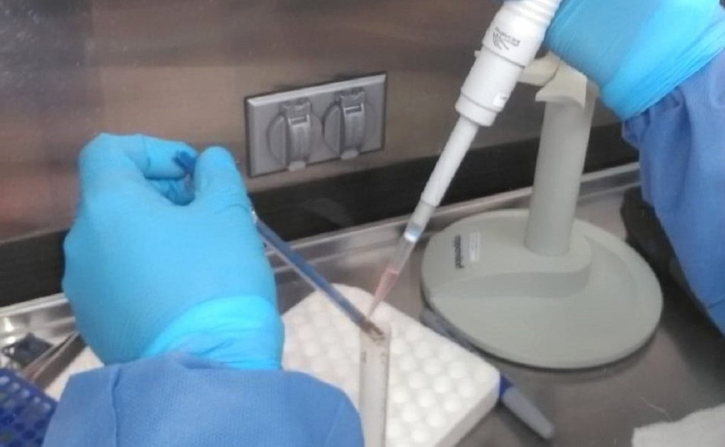 InDRe confirma primer caso de ómicron en Oaxaca