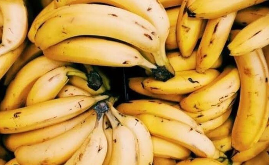 Por baja producción repunta precio del plátano en SLP