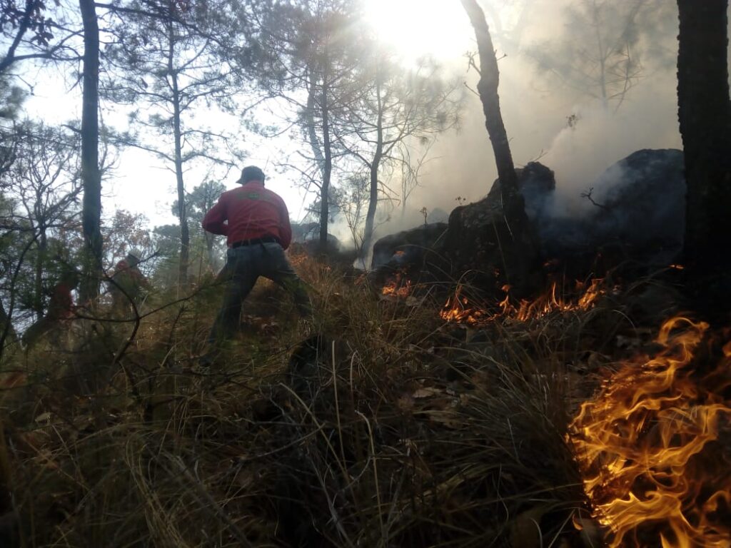 Fallecen dos combatientes forestales por incendio en Edomex