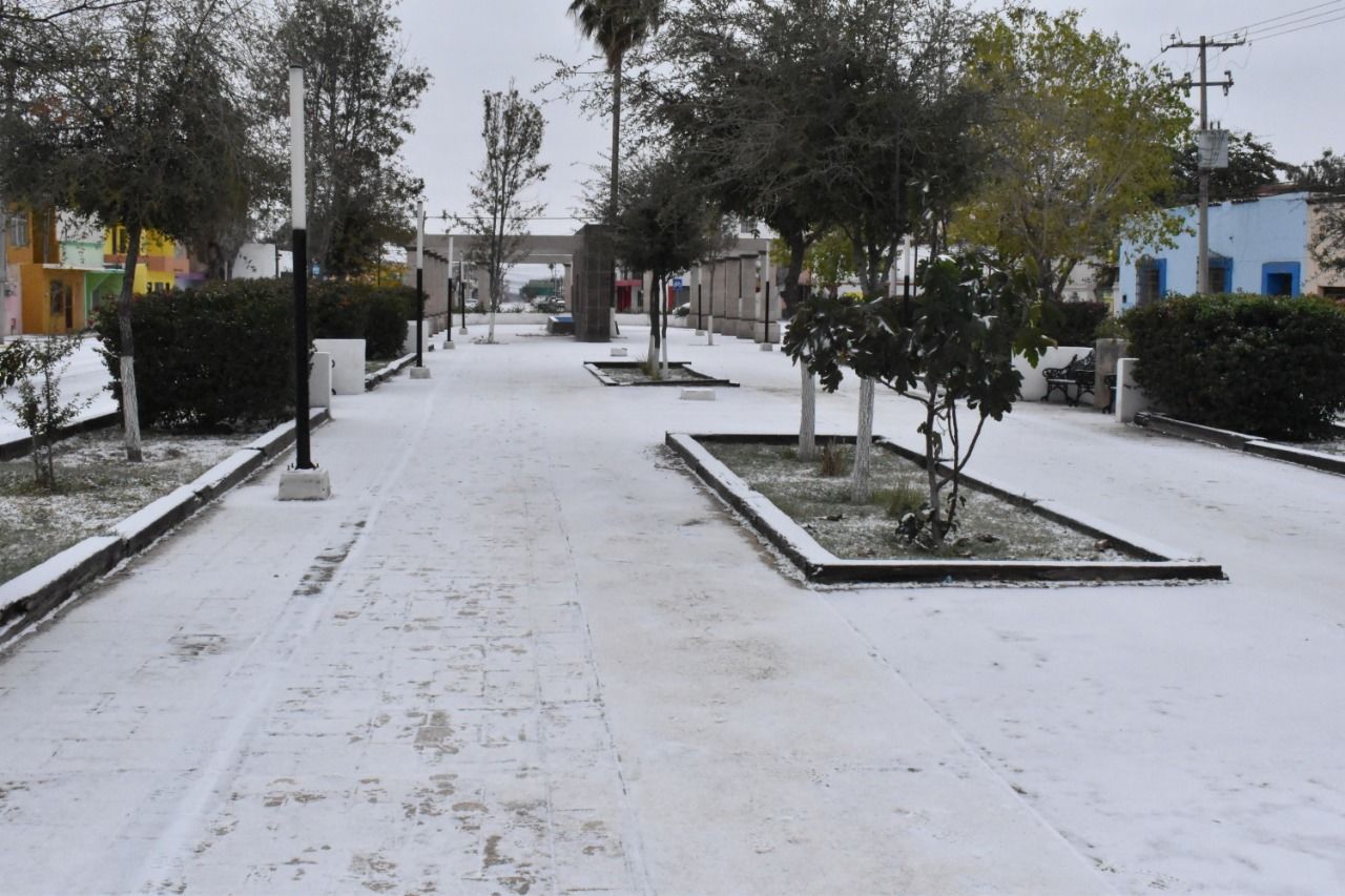 Nieve y caos se viven en Monclova