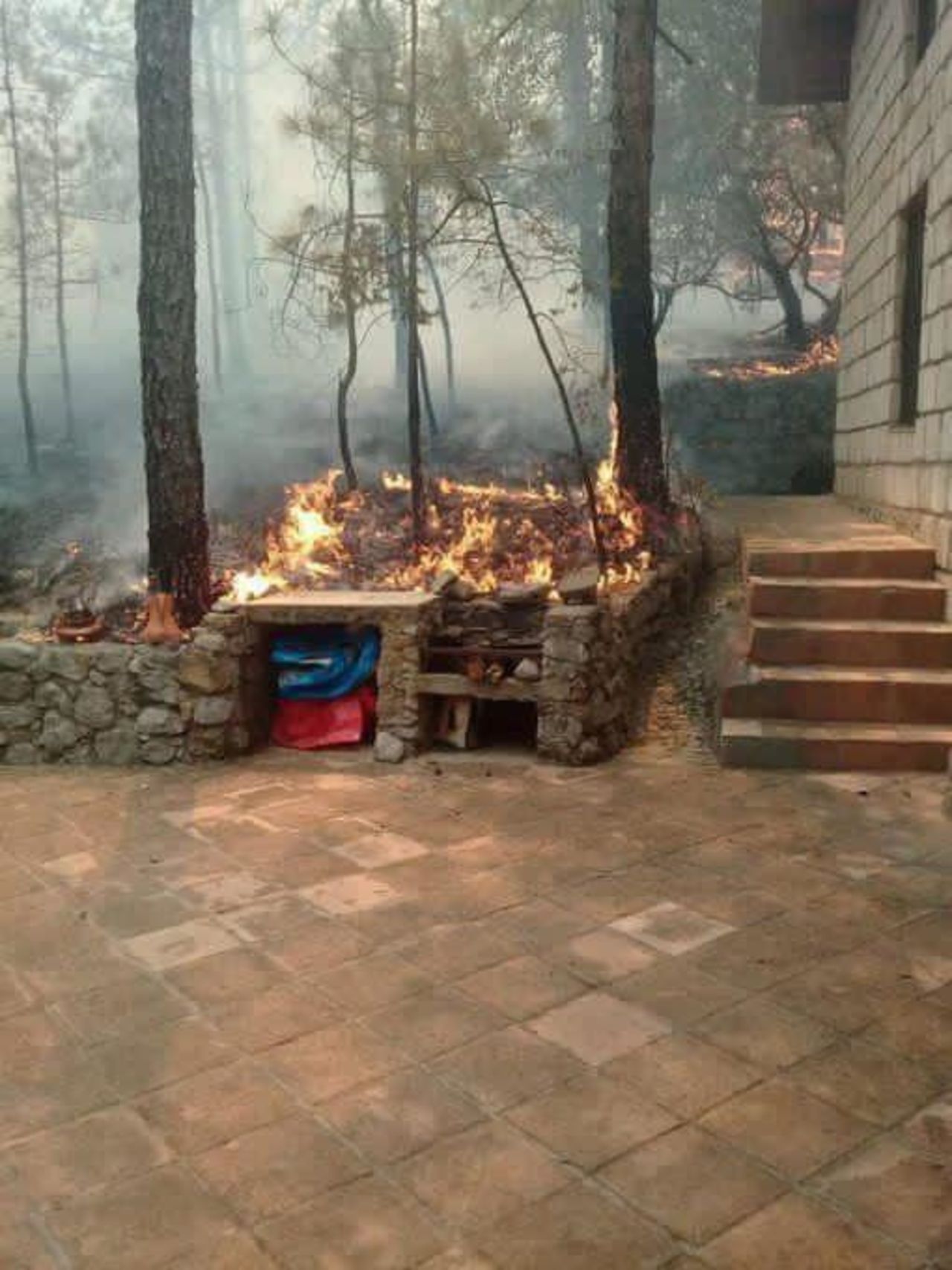 Incendio en la Sierra de Arteaga