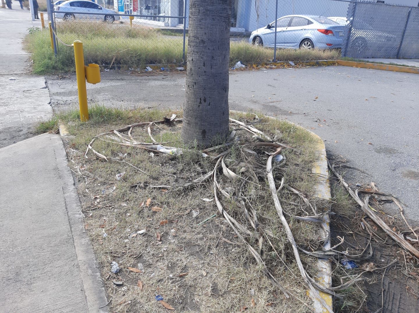 Las lluvias ocasionan acumulación de basura en calles de Monclova