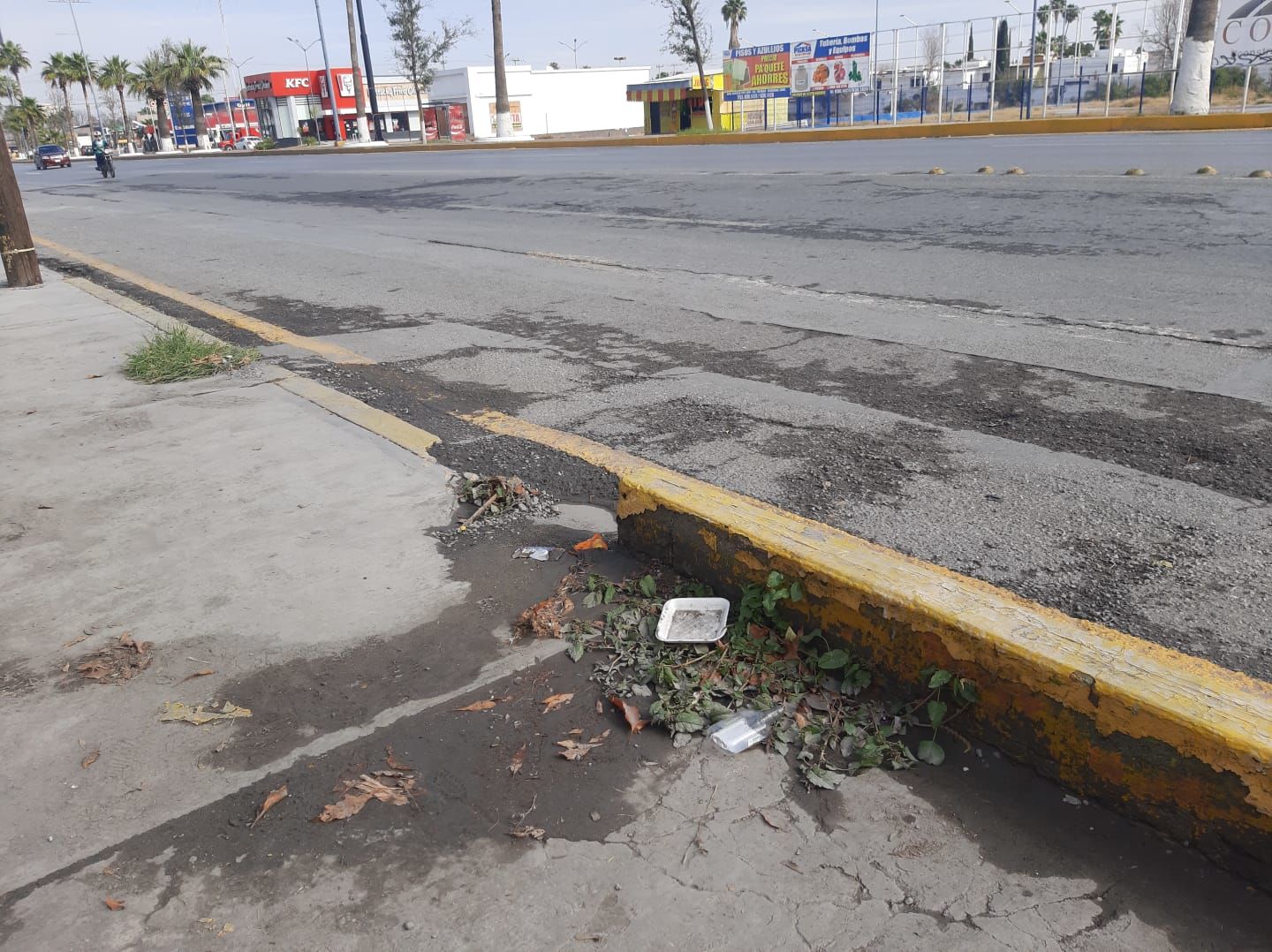 Las lluvias ocasionan acumulación de basura en calles de Monclova