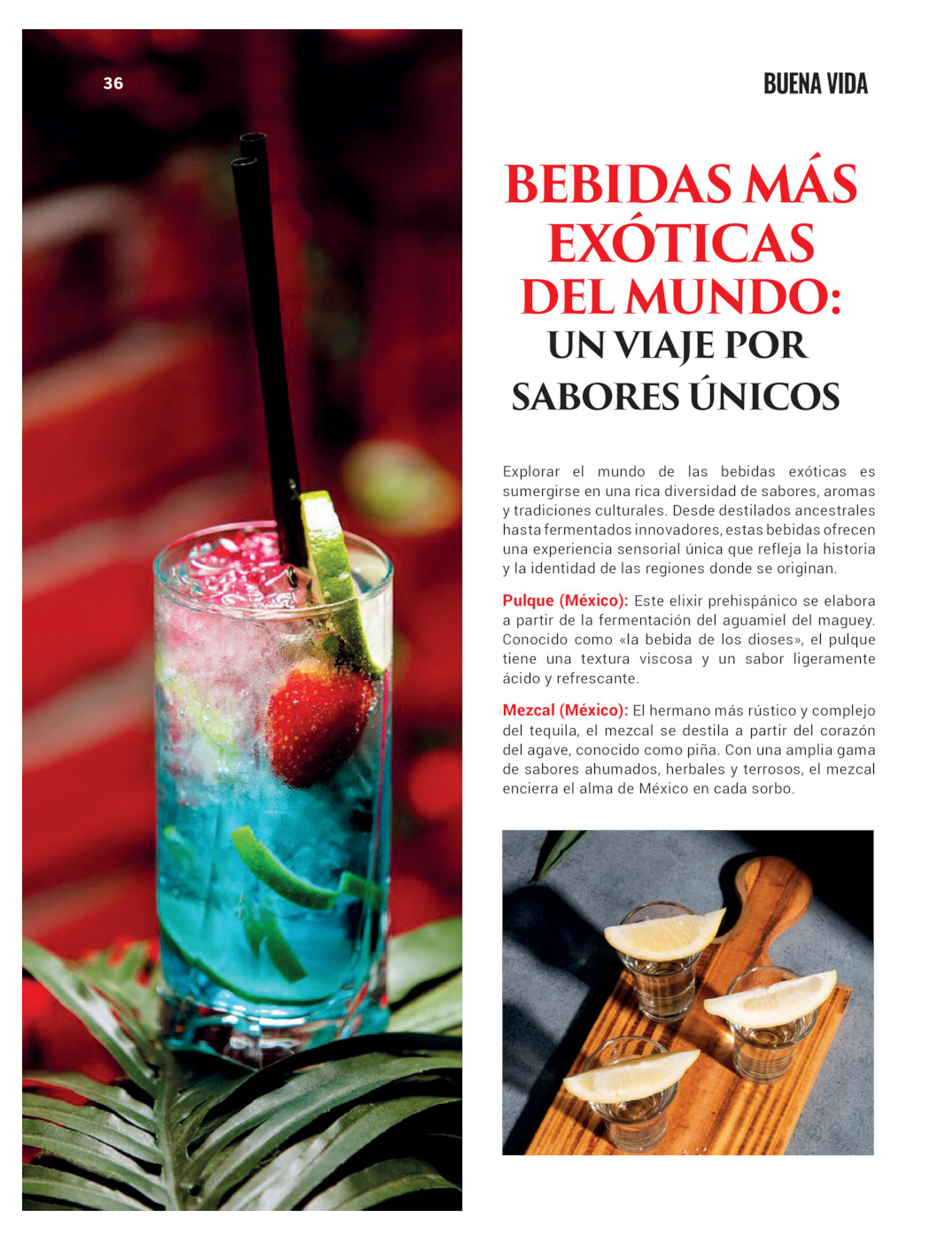 REVISTA JADE BUENA VIDA PERIODICO EL TIEMPO DE MONCLOVA